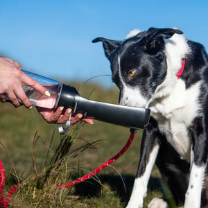Folding Dog Water Bottle - Mountain Paws