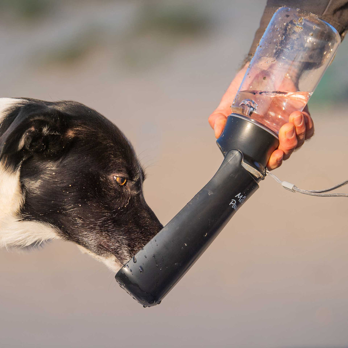 Folding Dog Water Bottle - Mountain Paws