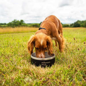 Basecamp Dog Bowl - Mountain Paws