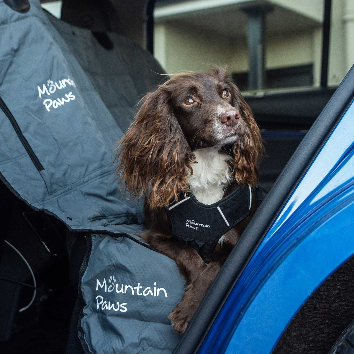 Extra Tough Dog Car Seat Cover - Mountain Paws