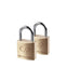 Mini Padlocks (Pack of 2) - Life Venture