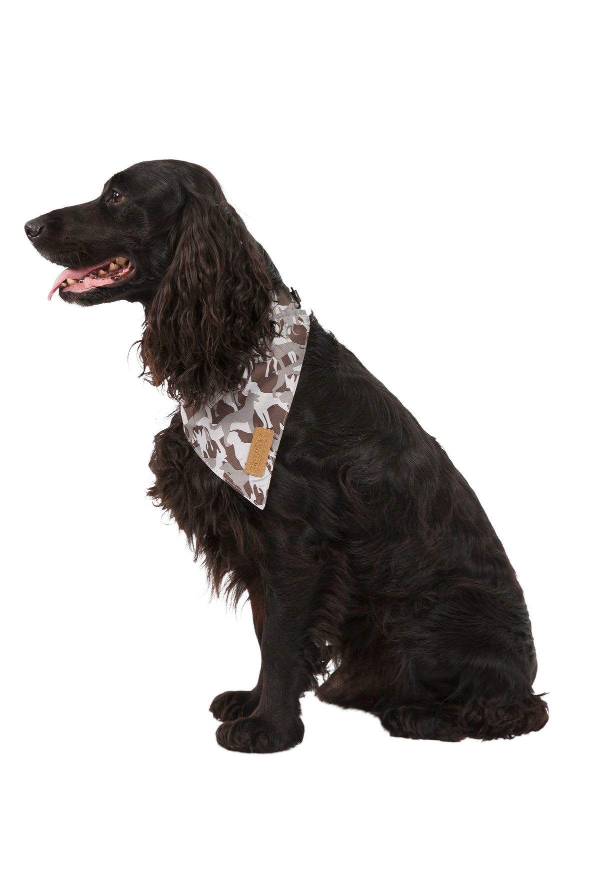 Alpha - Grey Dog Camo - Trespass