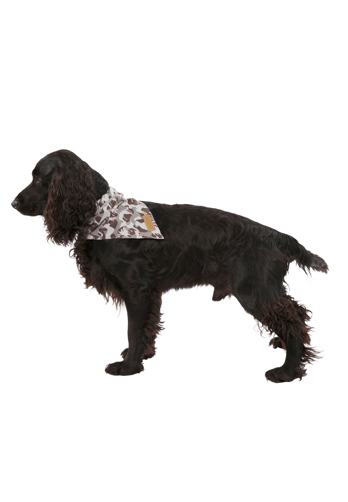 Alpha - Grey Dog Camo - Trespass