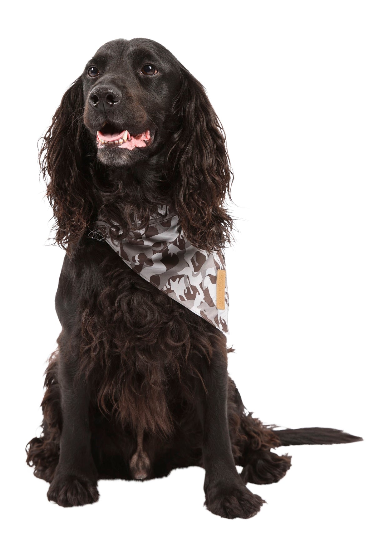 Alpha - Grey Dog Camo - Trespass