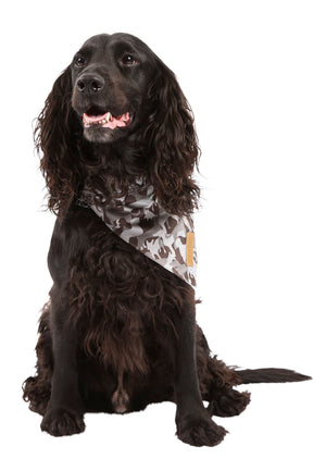 Alpha - Grey Dog Camo - Trespass