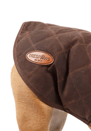 Artemis - Bark - Trespass