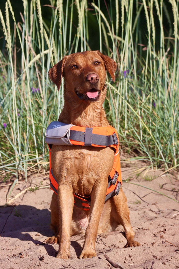 Life Jacket XXL