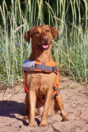 Life Jacket XXL