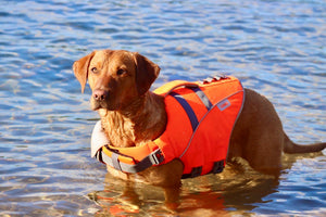 Life Jacket XXL