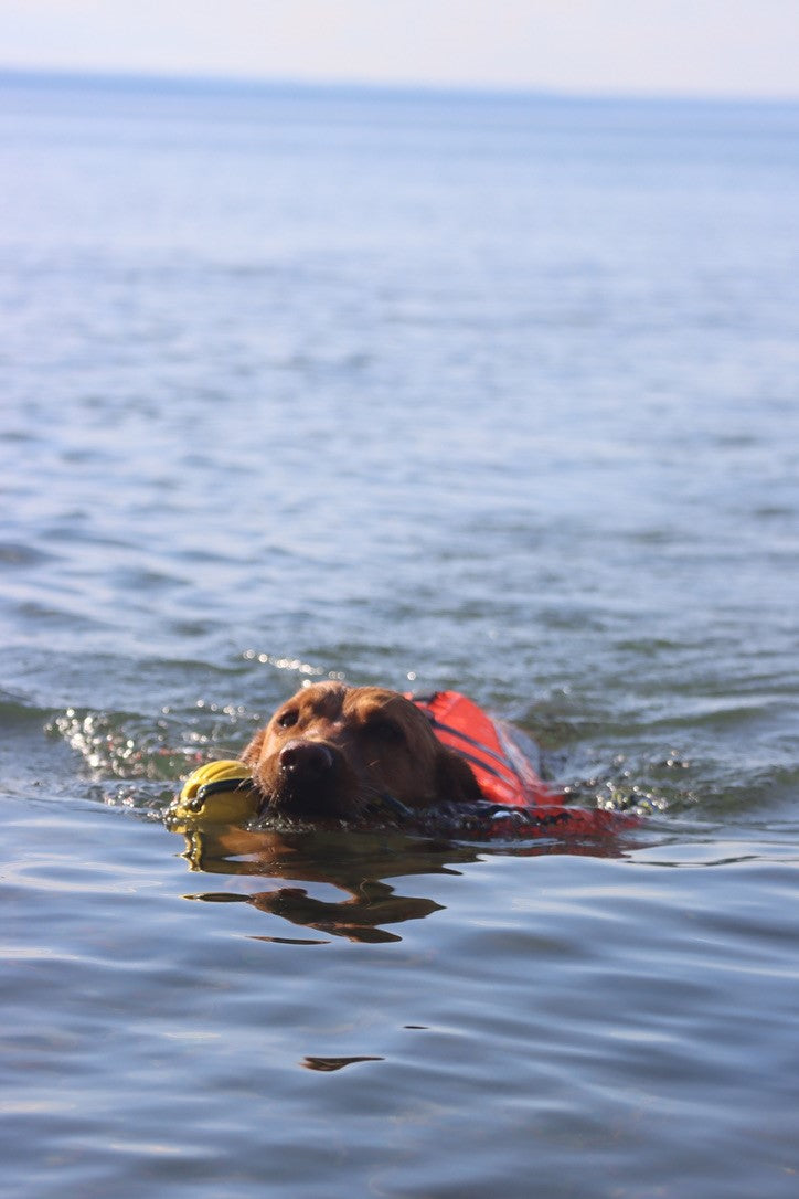 Life Jacket XXL