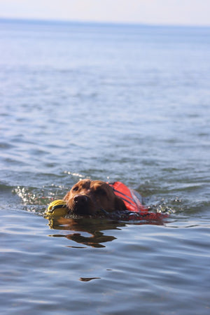 Life Jacket XXL