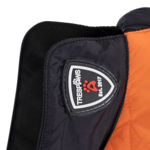 Beedle - Black/ Burnt Orange - Trespass