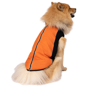 Beedle - Black/ Burnt Orange - Trespass