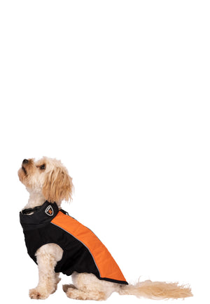 Beedle - Black/ Burnt Orange - Trespass