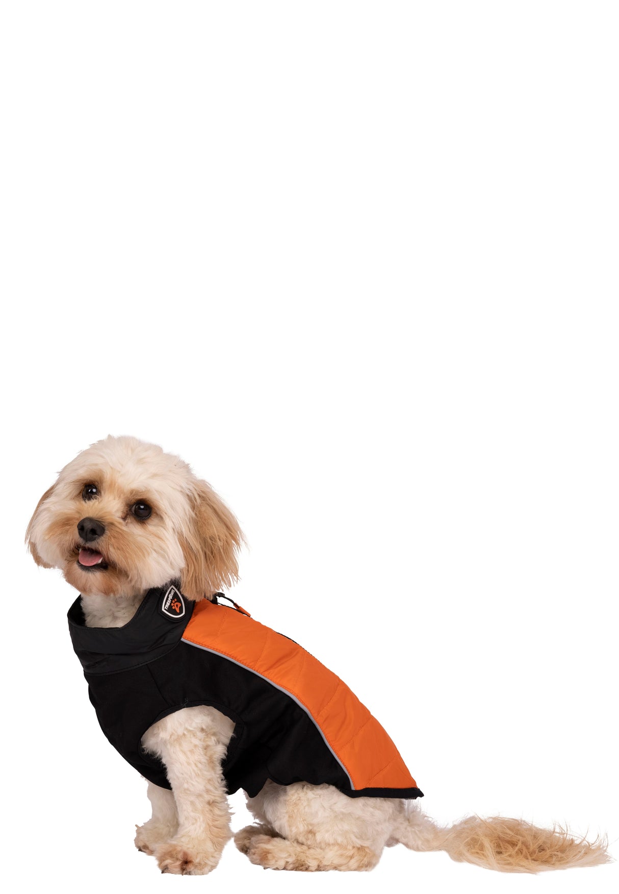 Beedle - Black/ Burnt Orange - Trespass