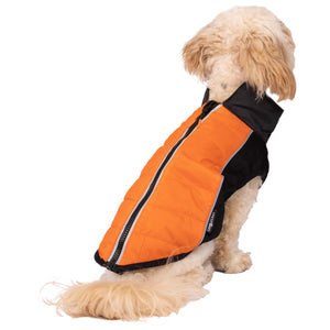 Beedle - Black/ Burnt Orange - Trespass