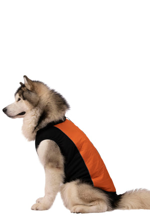 Beedle - Black/ Burnt Orange - Trespass