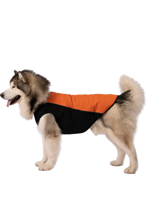 Beedle - Black/ Burnt Orange - Trespass