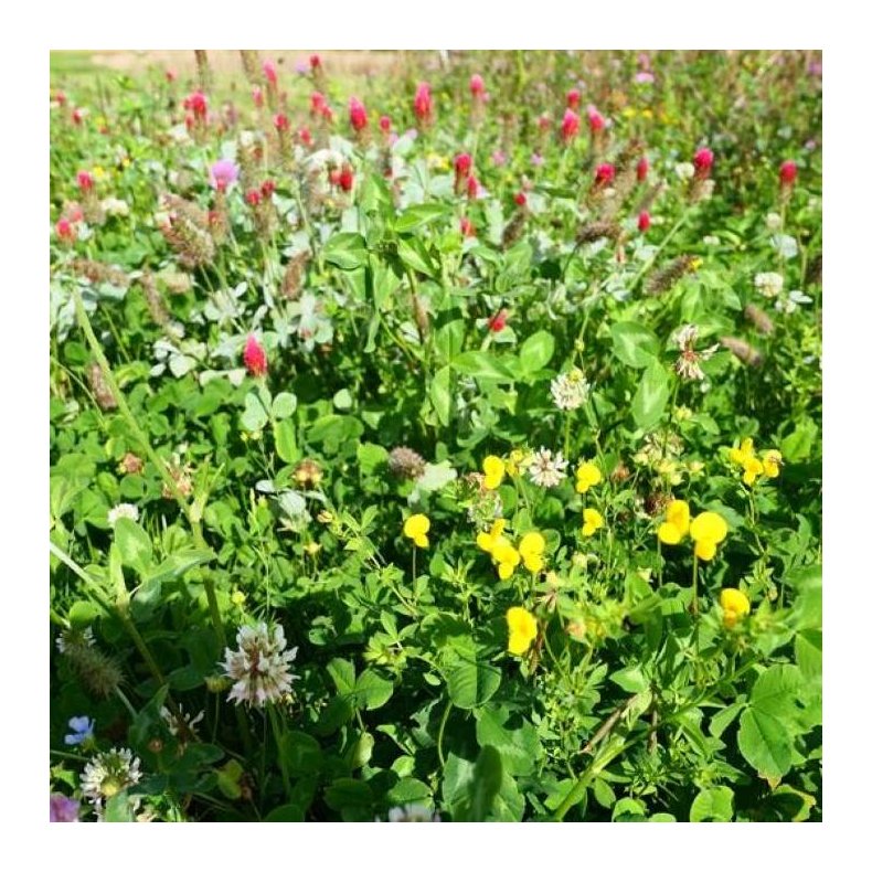 Blomster- & Bestøverbrak uden græs, 10 kg 2