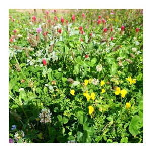 Blomster- & Bestøverbrak uden græs, 10 kg 2
