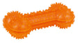 Bone ToyFastic Large