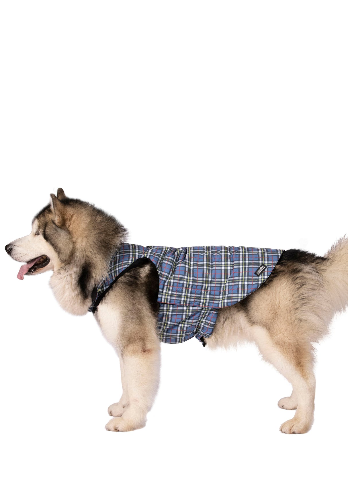 Charly - Tartan Print - Trespass