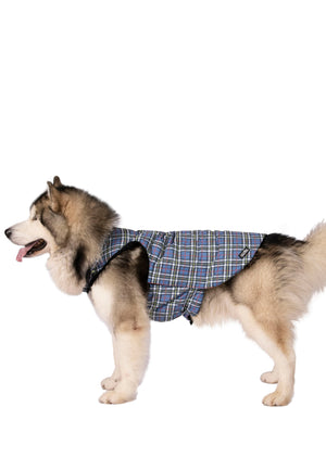 Charly - Tartan Print - Trespass
