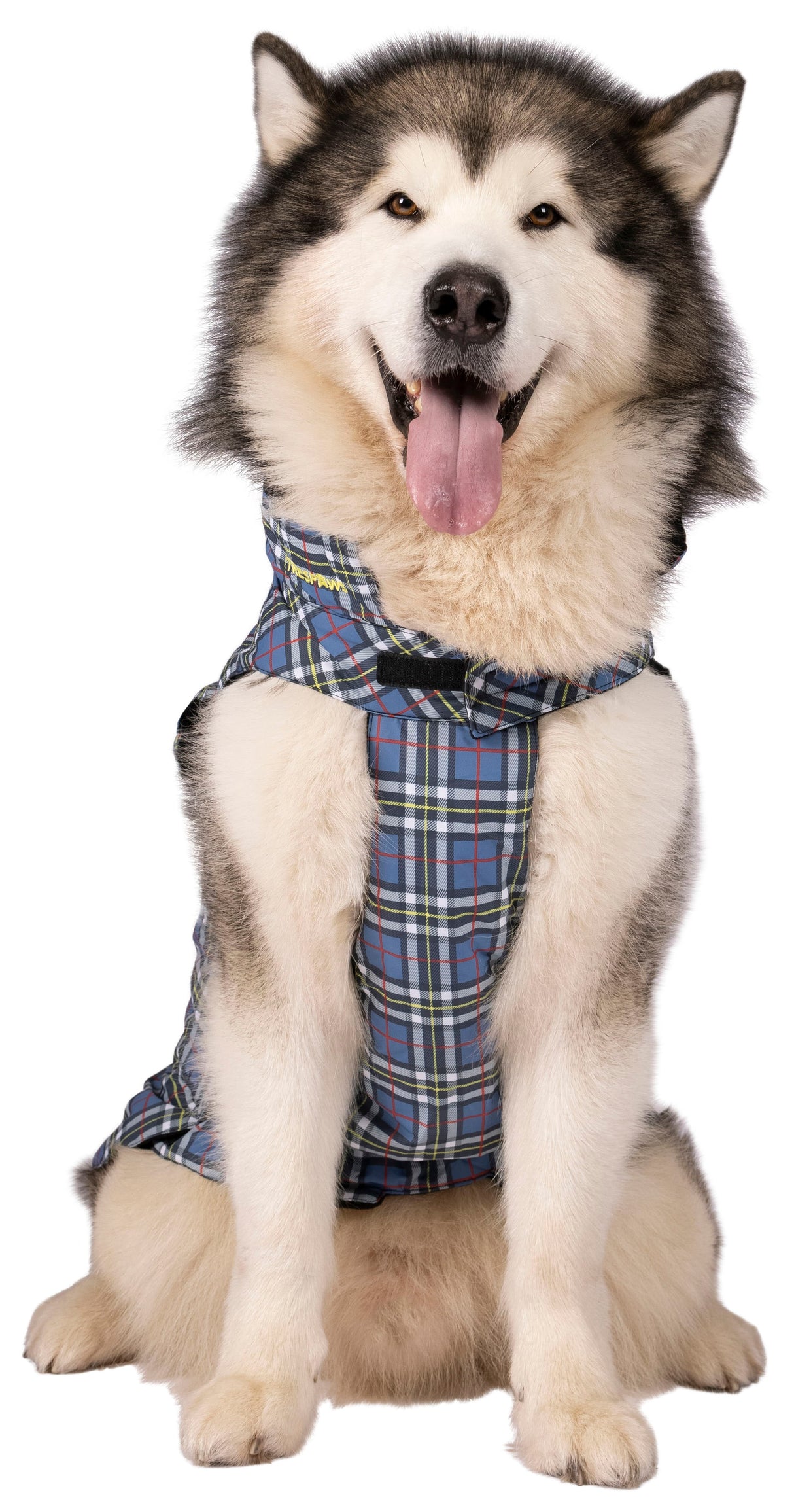 Charly - Tartan Print - Trespass