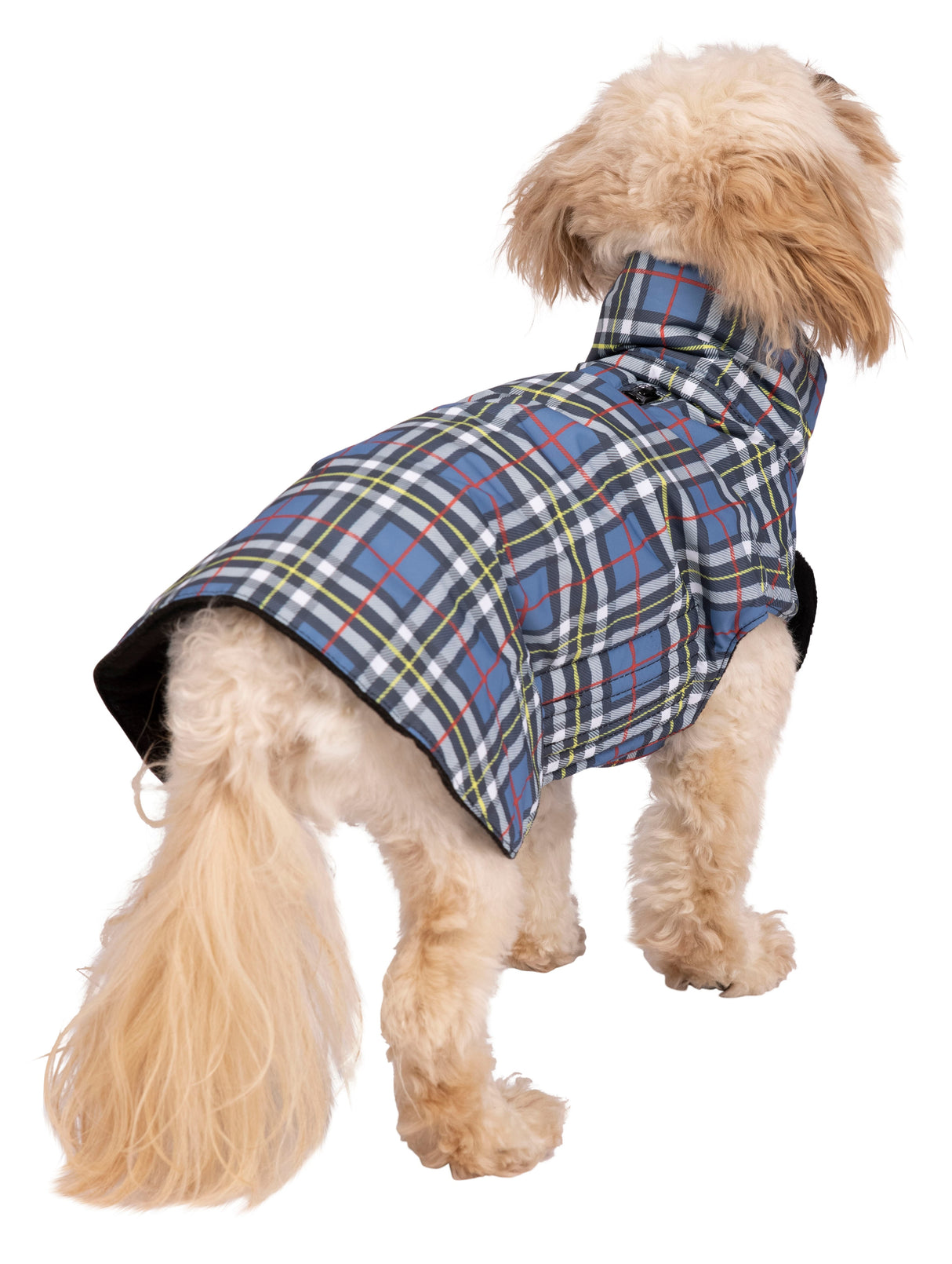 Charly - Tartan Print - Trespass