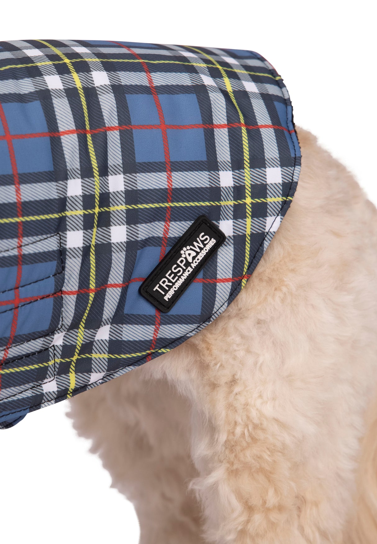 Charly - Tartan Print - Trespass