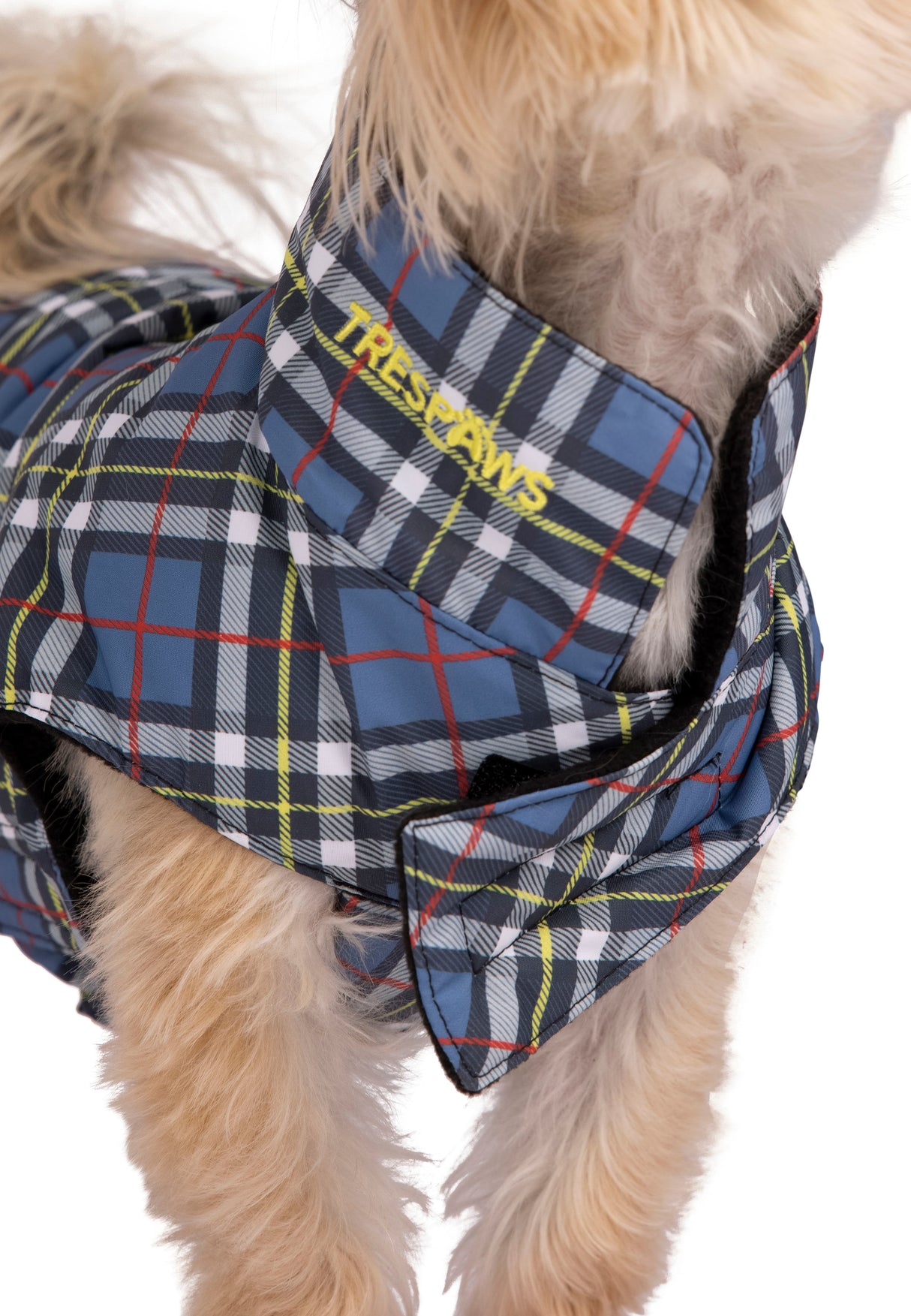 Charly - Tartan Print - Trespass