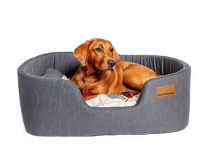 Colour Block Steel Lux Slumber Bed S