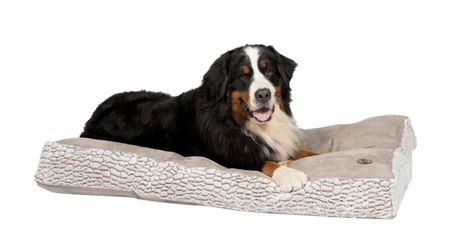 Arctic duvet 88 cm