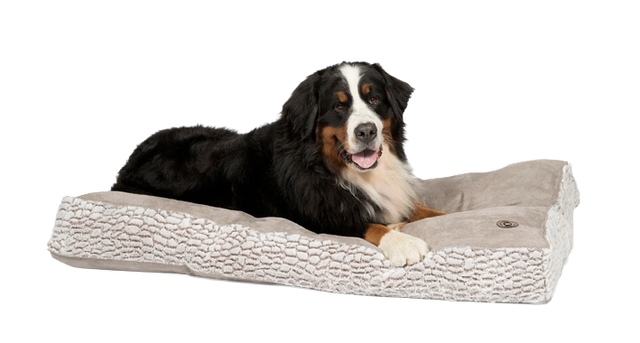 Arctic duvet 88 cm