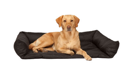 Boot Bed by Danish Design 80 x 60 x 17cm