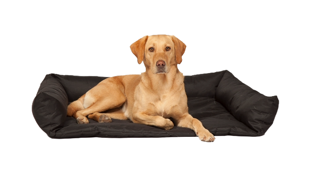 Boot Bed by Danish Design 100 x 78 x 21cm
