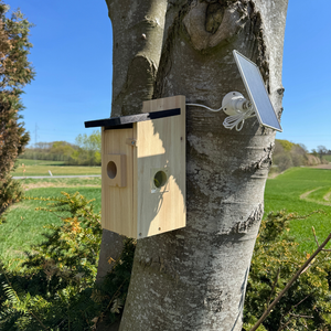 Fuglehus med kamera