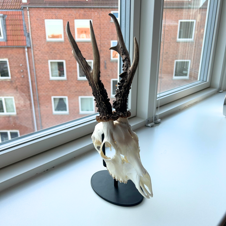 Bukkestativ 1 stk.