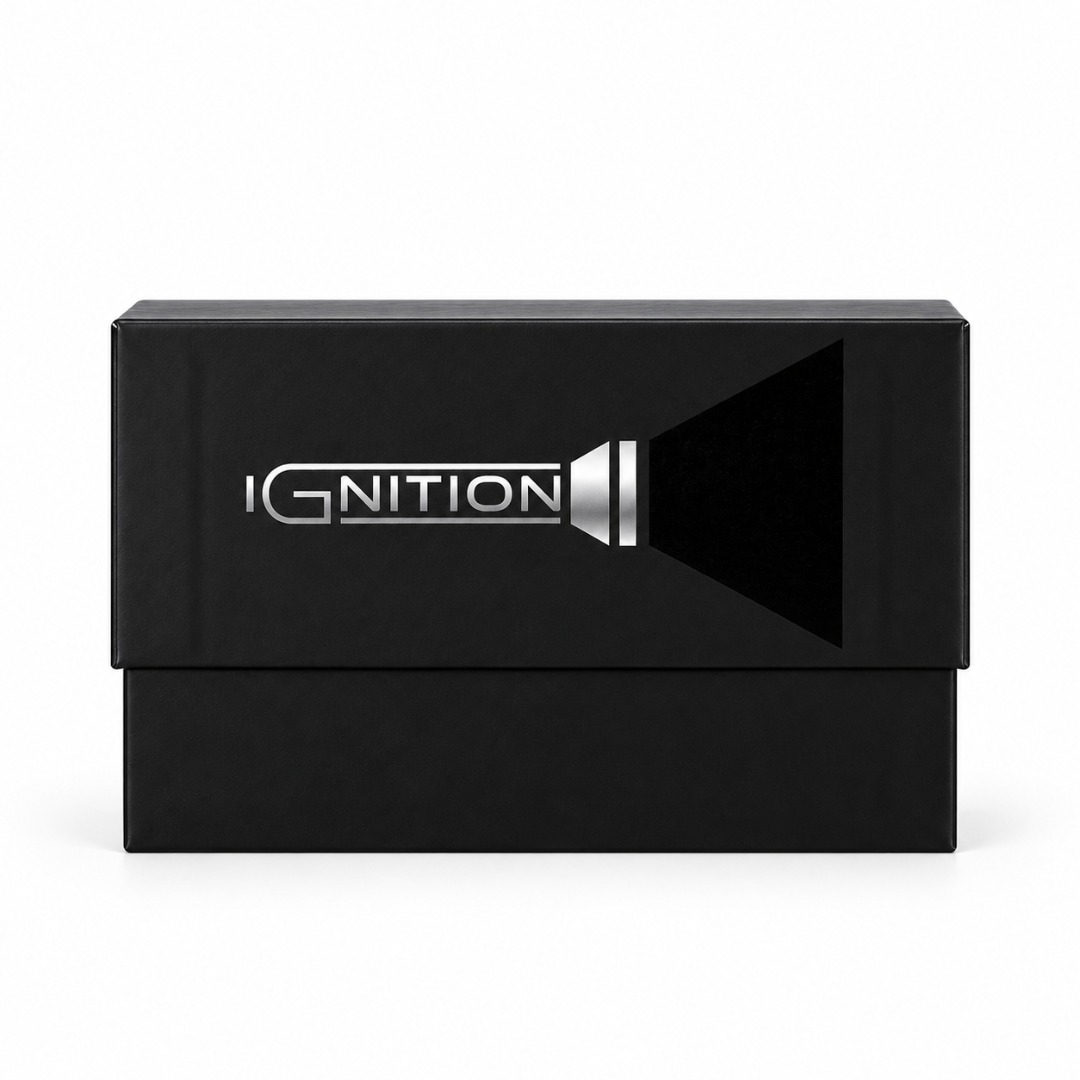 Portable 100.000 Powerbank - Ignition