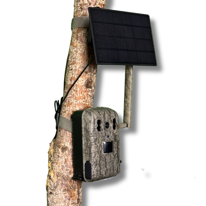 Live 1.0 vildtkamera inkl solcelle og app - Senzor