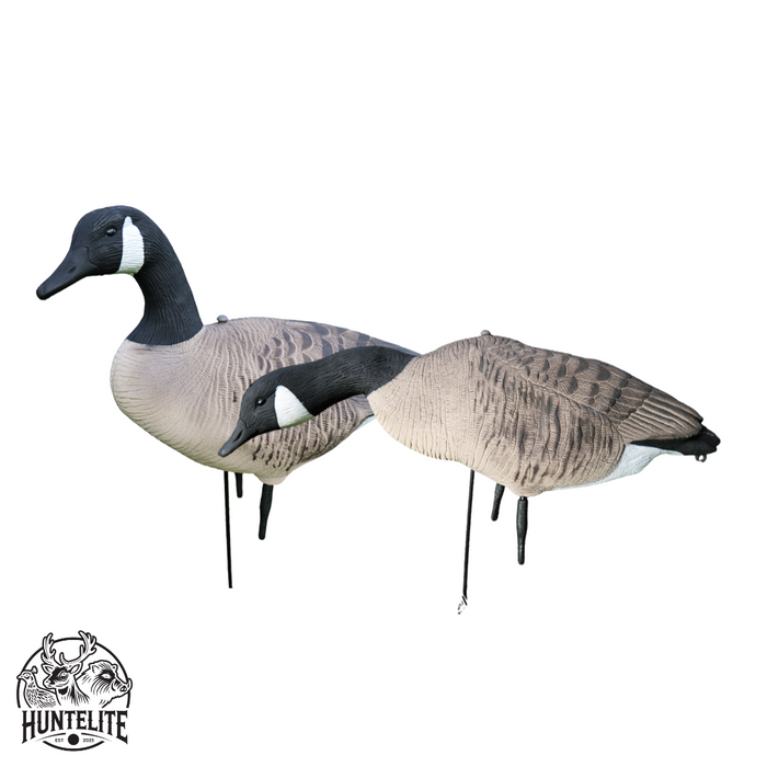 Fullbody - canadagæs - 12 stk - HuntElite