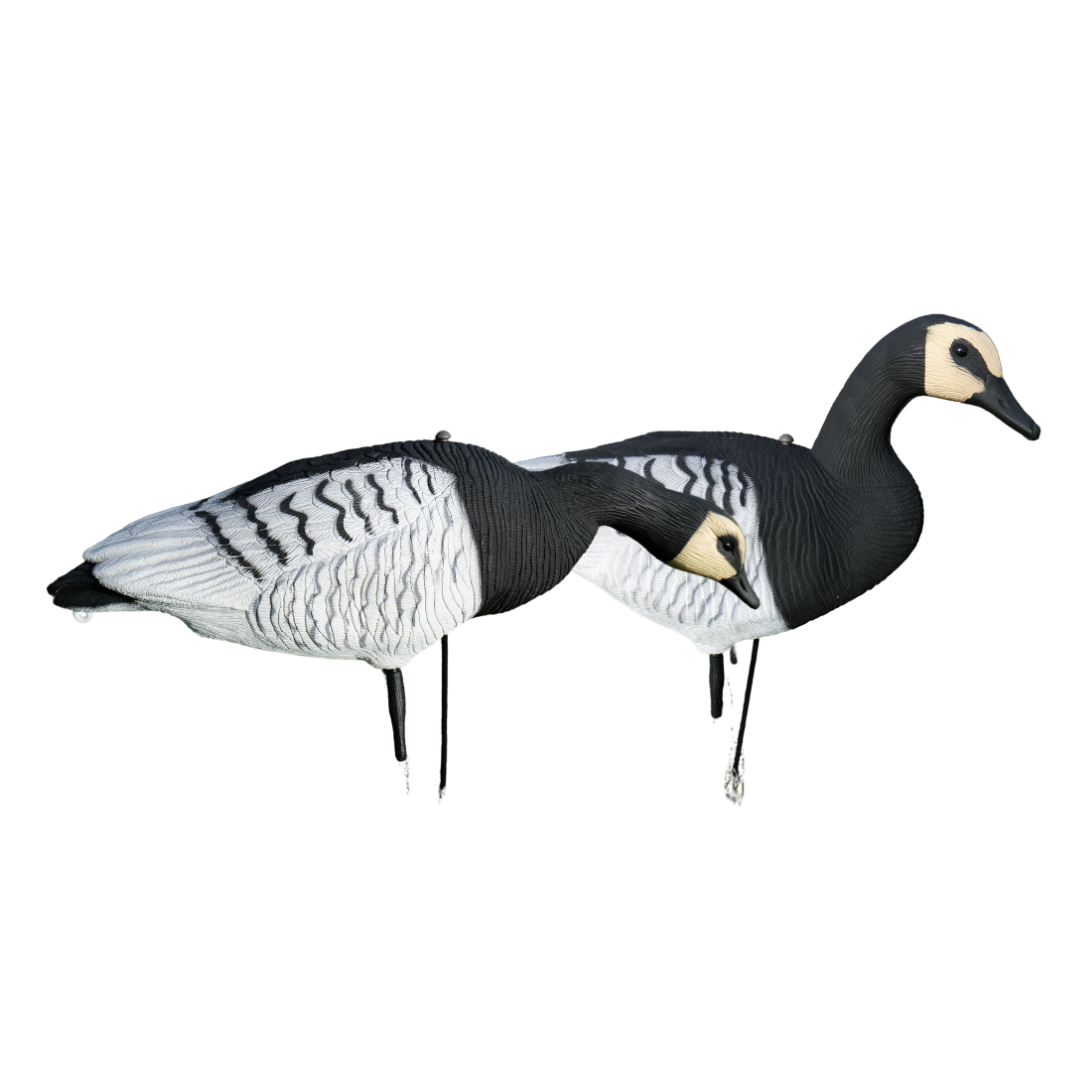 Fullbody - Bramgæs - 12 stk - HuntElite