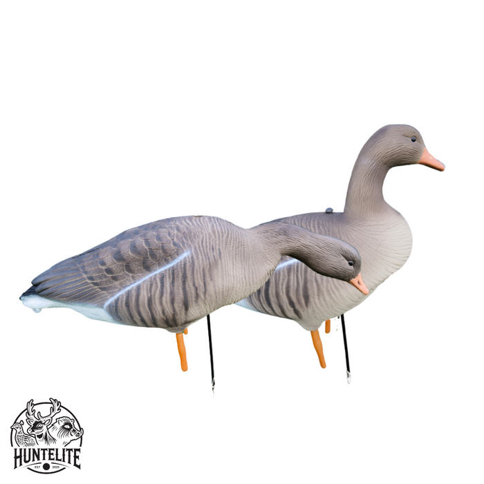 Fullbody - Grågæs - 12 stk - HuntElite