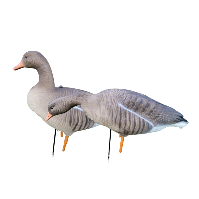 Fullbody - Grågæs - 12 stk - HuntElite