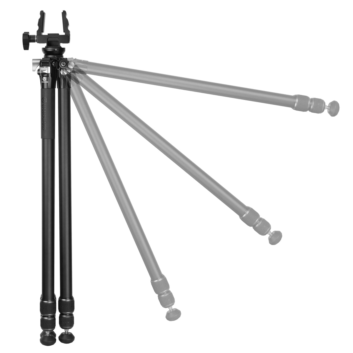 Tripod Endeavor L Aluminium m. GM-65 hoved - Vanguard