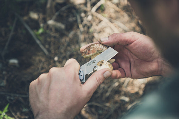 Fastball Cleaver 20CV Coyote  - Gerber