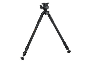 Vanguard Equalizer 2QS