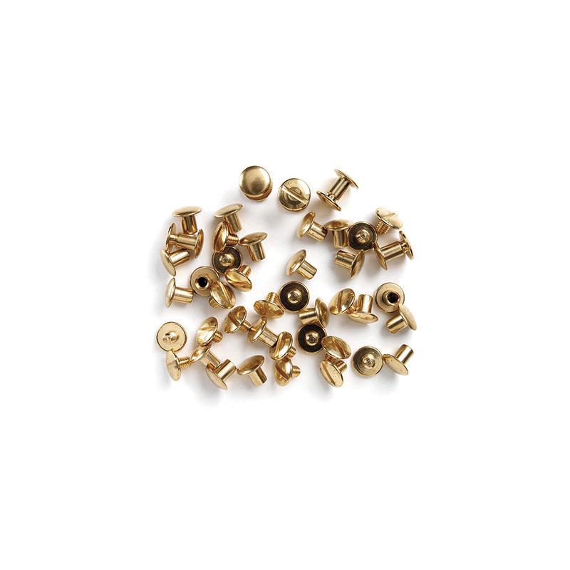 Chicago screws a 24 stk. 2509-0