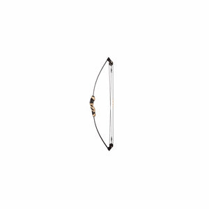 Barnett Compound bue Wildhawk incl. 2 pile