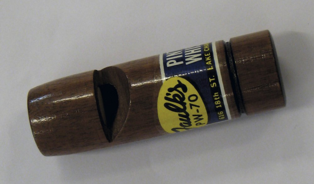 Lokkekald til spidsand